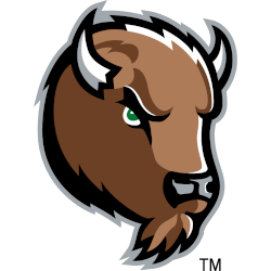 marshall-thundering-herd-alternate-logo-2011-2015-4